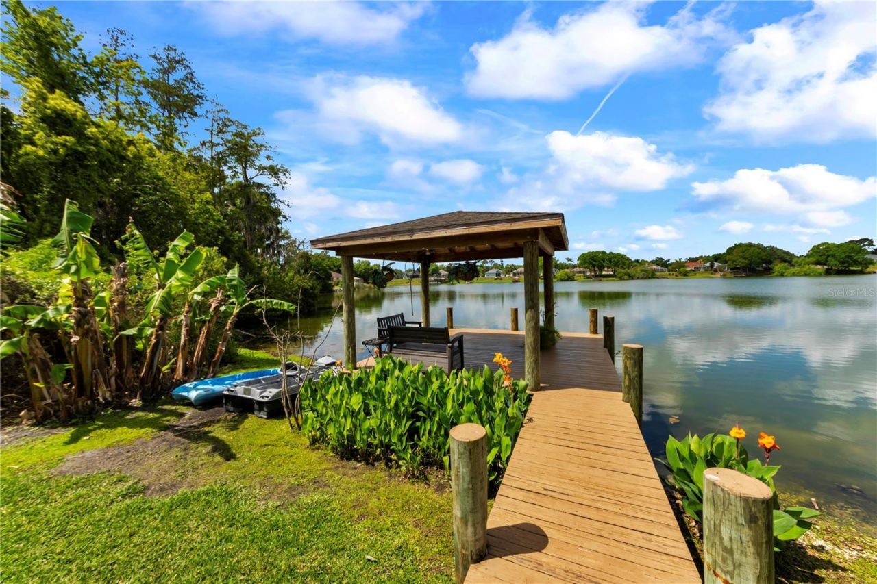 3921 Roswell Place , Land O Lakes, FL 34639 Photo