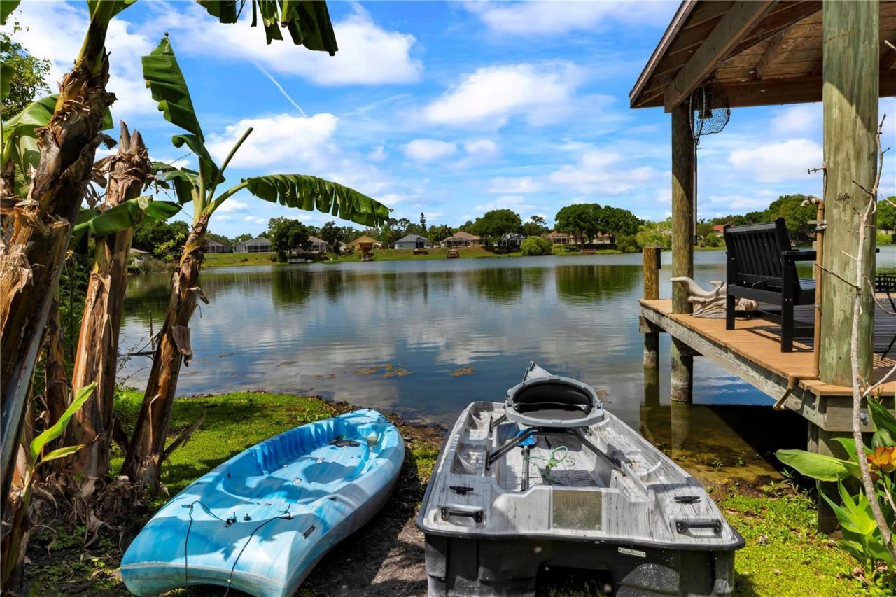 3921 Roswell Place , Land O Lakes, FL 34639 Photo