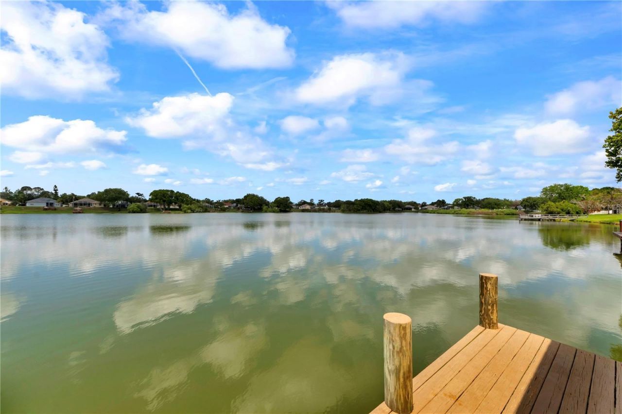 3921 Roswell Place , Land O Lakes, FL 34639 Photo