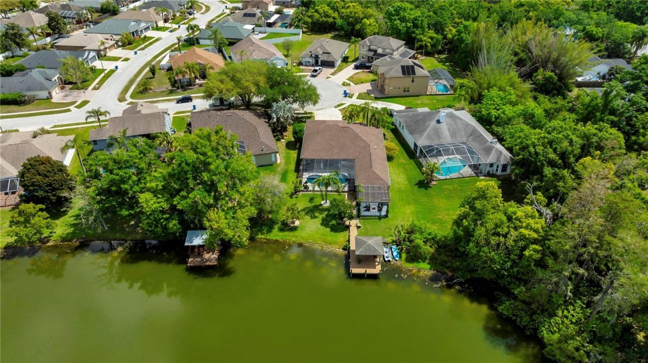 3921 Roswell Place , Land O Lakes, FL 34639 Photo