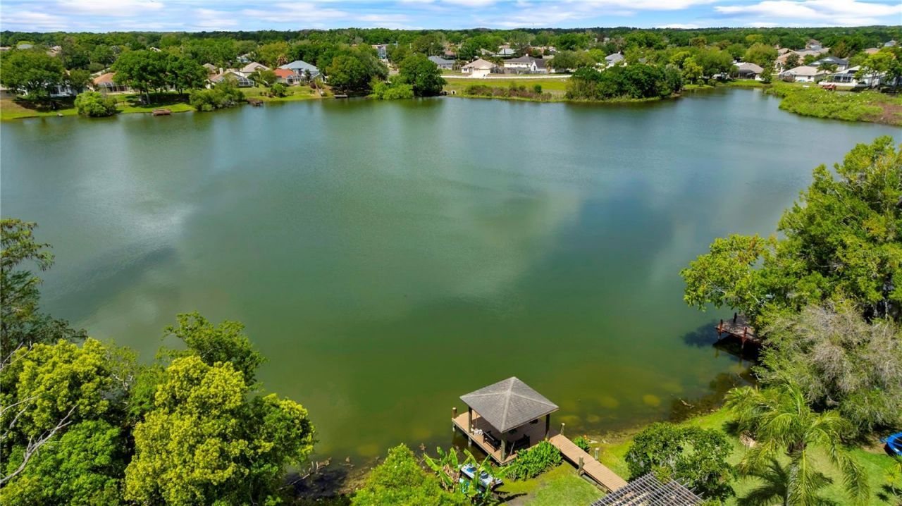 3921 Roswell Place , Land O Lakes, FL 34639 Photo