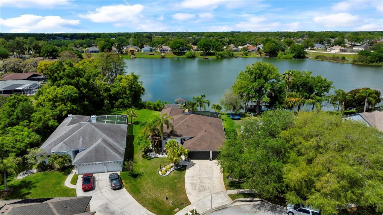 3921 Roswell Place , Land O Lakes, FL 34639 Photo