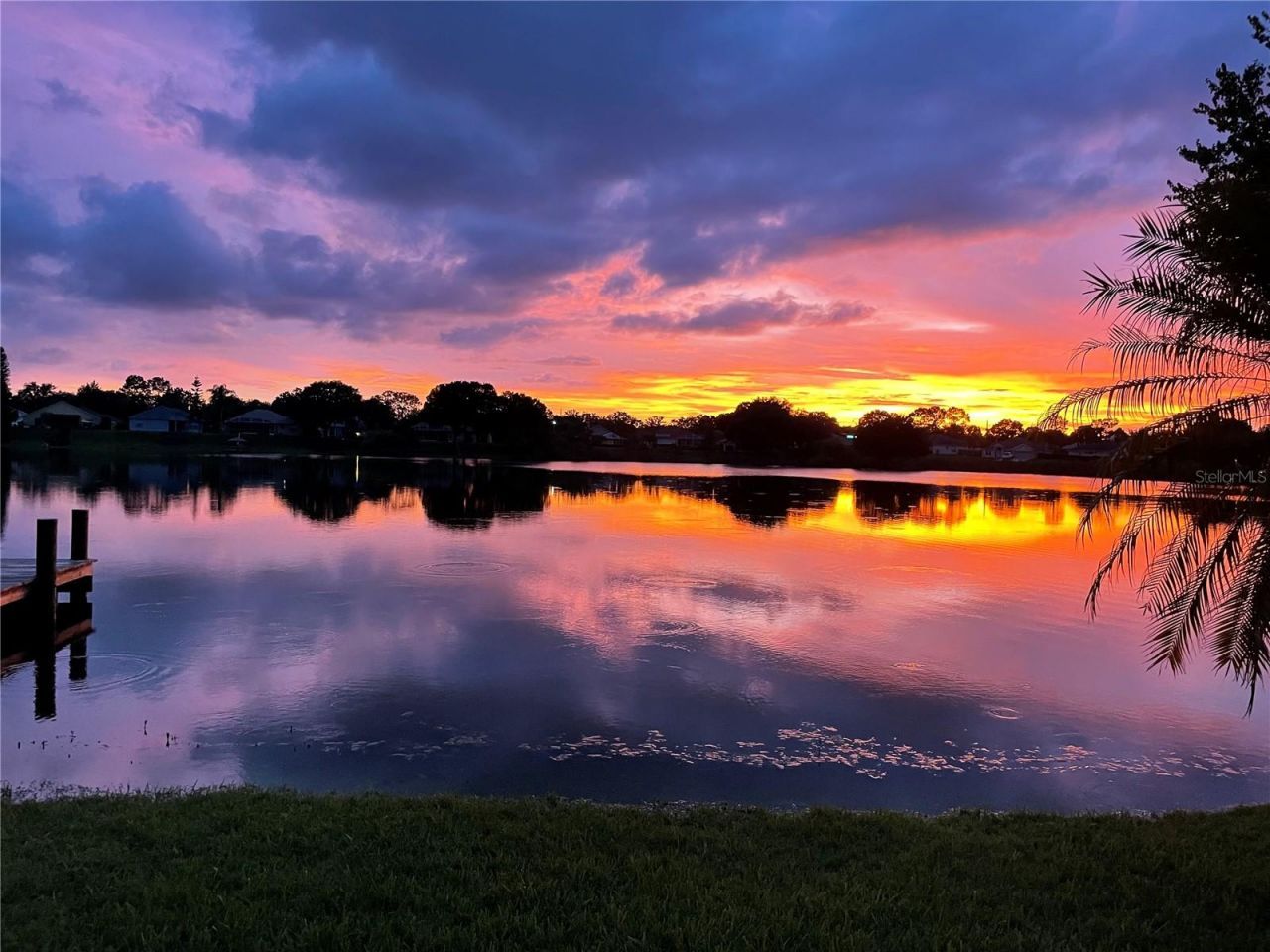 3921 Roswell Place , Land O Lakes, FL 34639 Photo