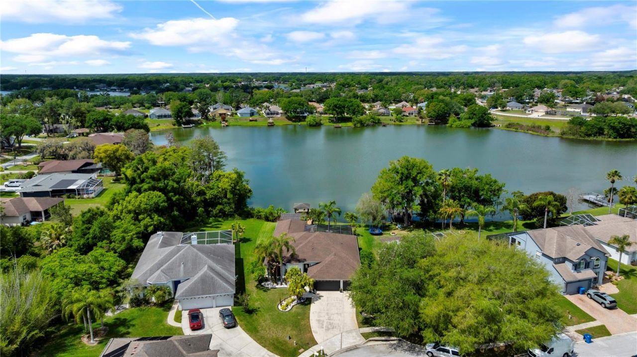 3921 Roswell Place , Land O Lakes, FL 34639 Photo