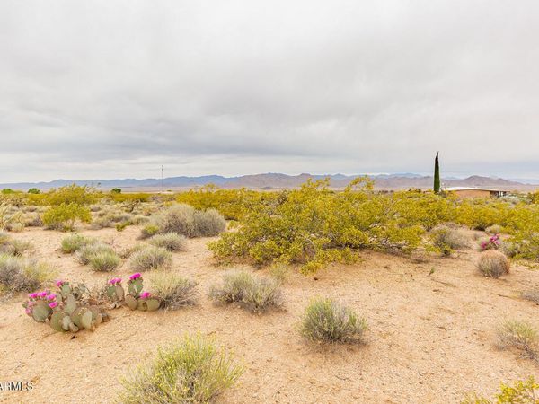 8699 N COCHISE Place, Unit 430, Kingman, AZ 86401