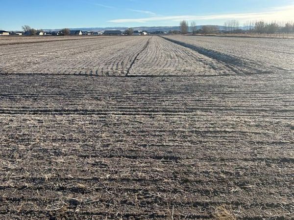 TBD Lot 1 4200 E, RIGBY, ID 83442