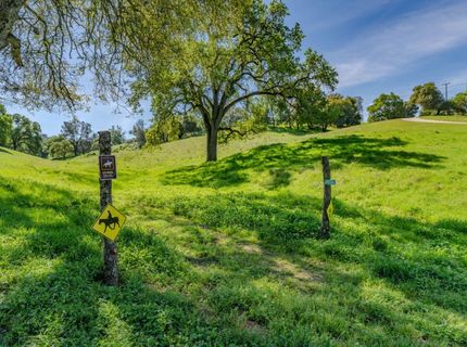 6910 Tonzi, Ione, CA 95640 Photo