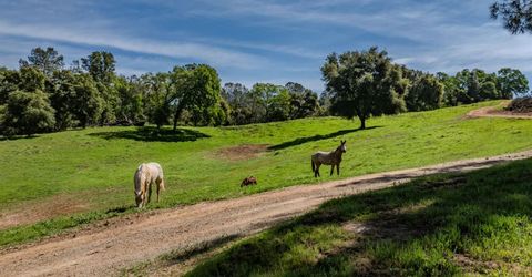 6910 Tonzi, Ione, CA 95640 Photo