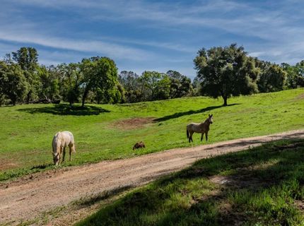 6910 Tonzi, Ione, CA 95640 Photo