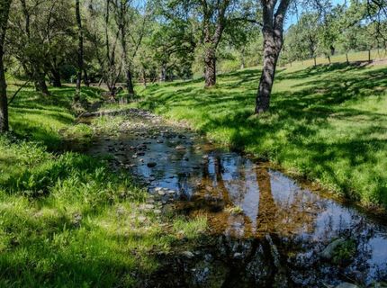 6910 Tonzi, Ione, CA 95640 Photo
