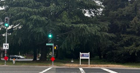 Riverside Blvd, Sacramento, CA 95831 Photo