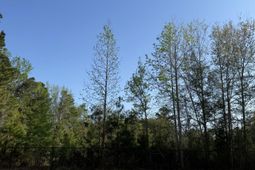 786 Foxtail Dr. photo 4