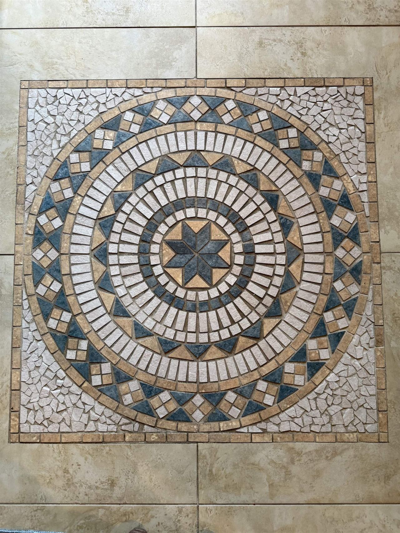 786 Foxtail Dr. Photo 7