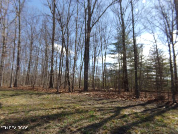 7218 Big Horn Drive, Crossville, TN 38572