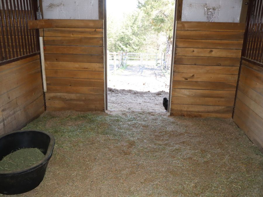 Property Image 48