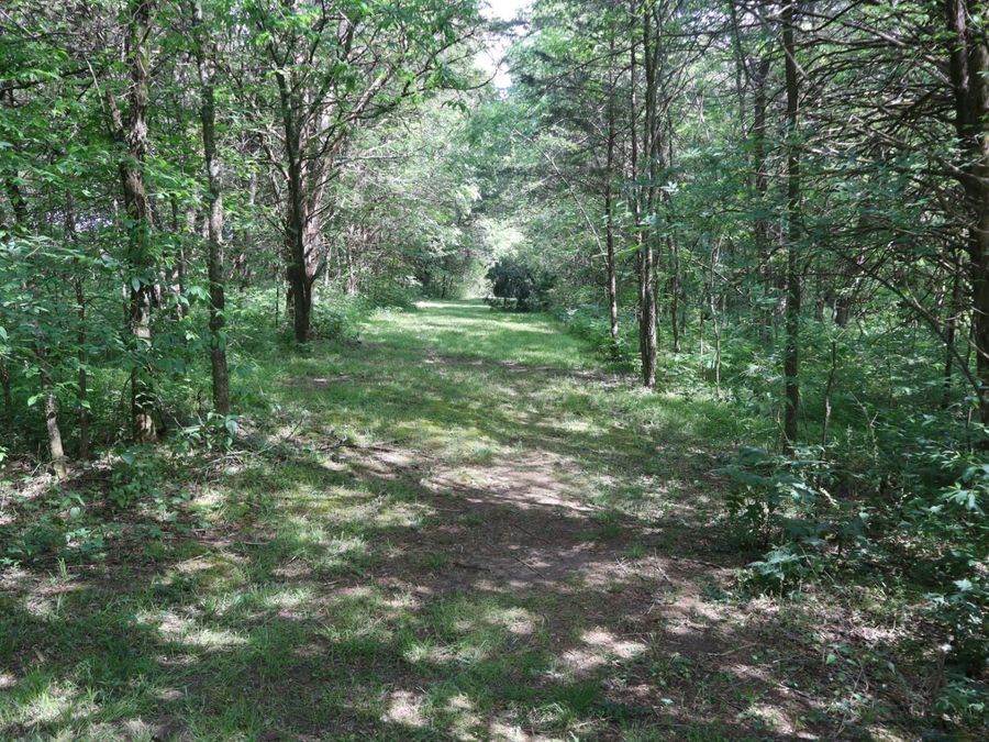Property Image 96