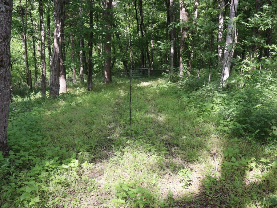 Property Image 97