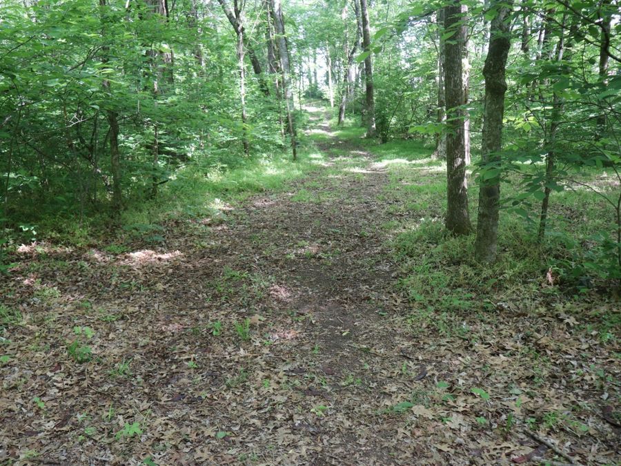 Property Image 98