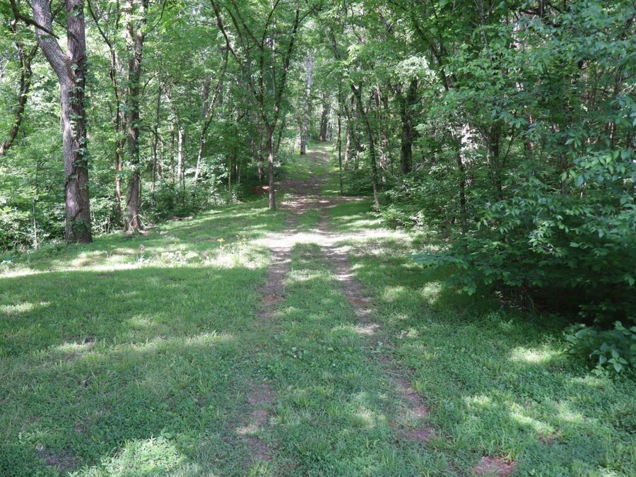 Property Image 99