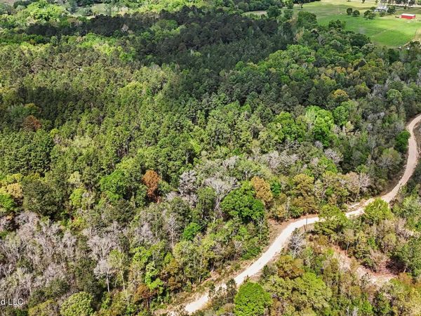 0 Pete Dixon Road, Lucedale, MS 39452