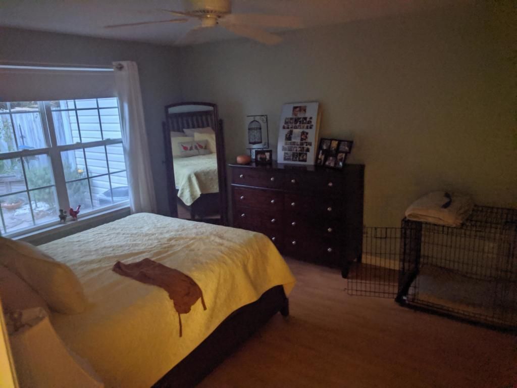 1339 Pinnacle Lane Photo 10