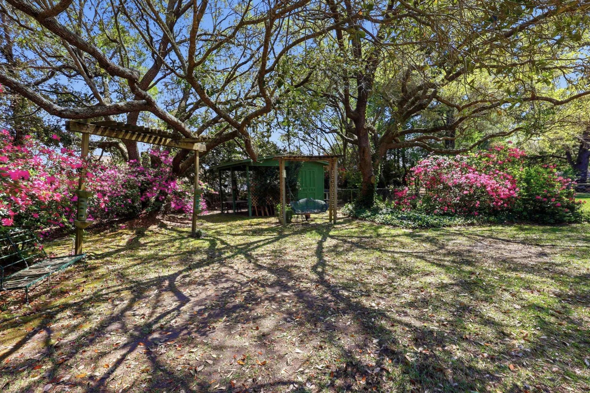 11091 Highway 707  Photo 26