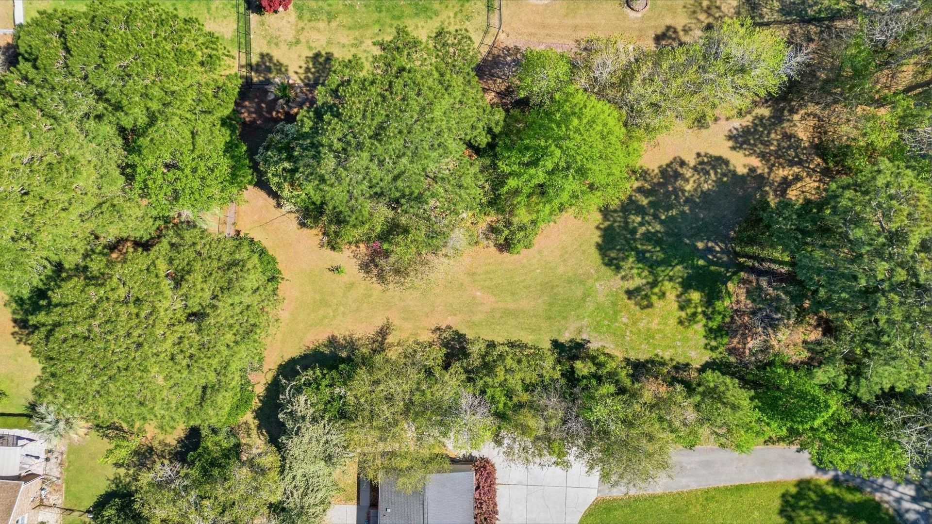 11091 Highway 707  Photo 41