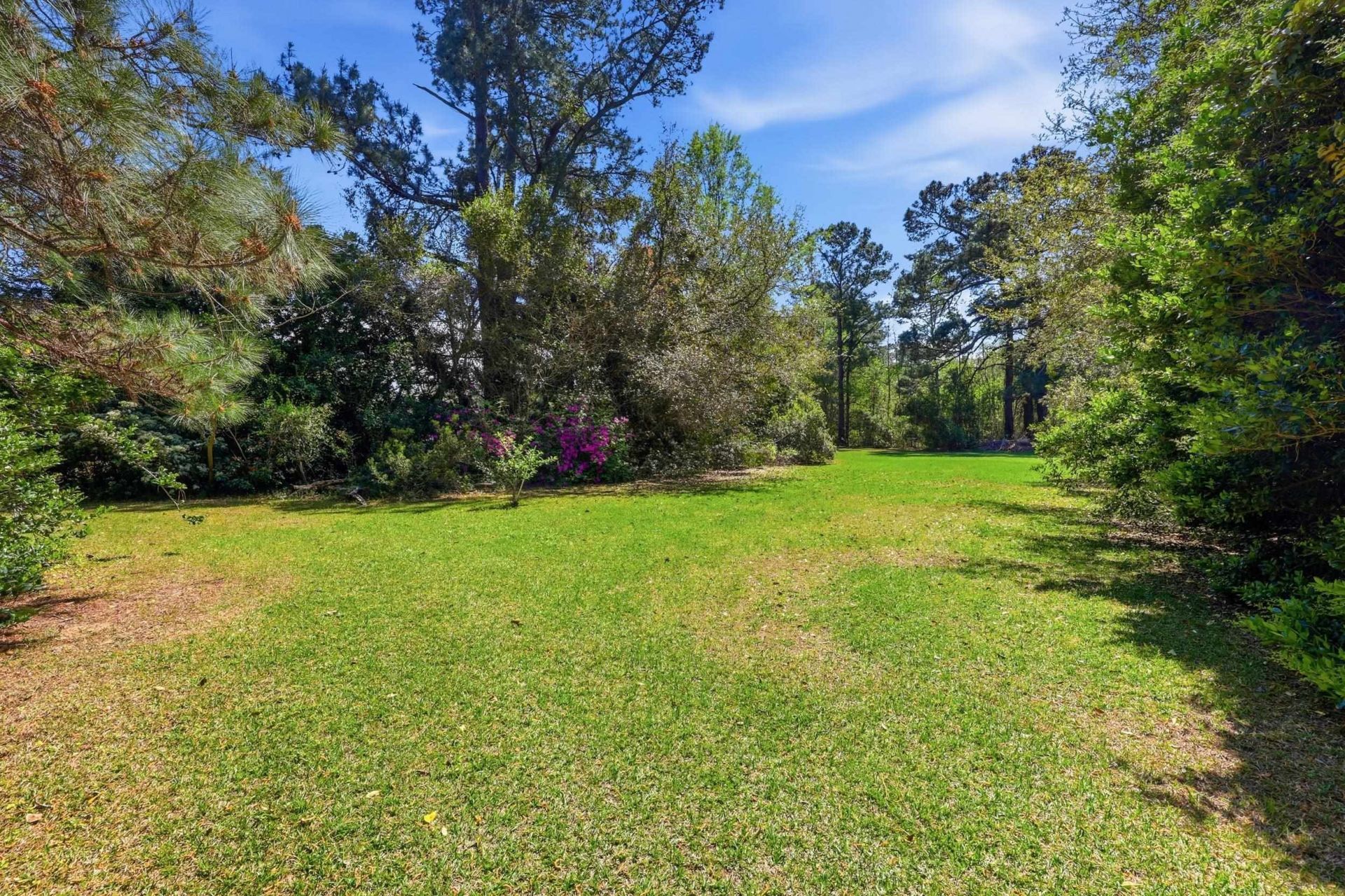 11091 Highway 707  Photo 5