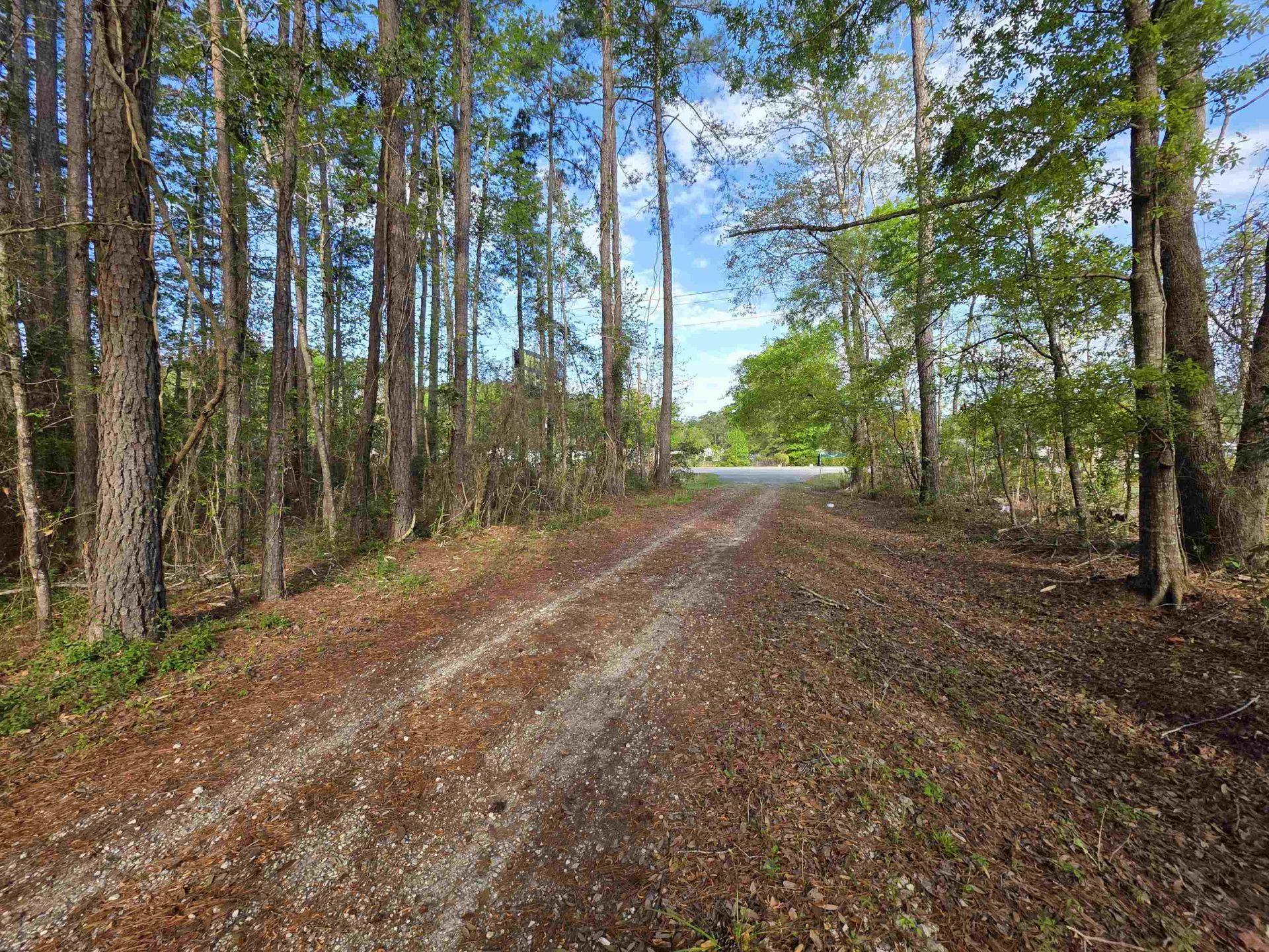 11091 Highway 707  Photo 9