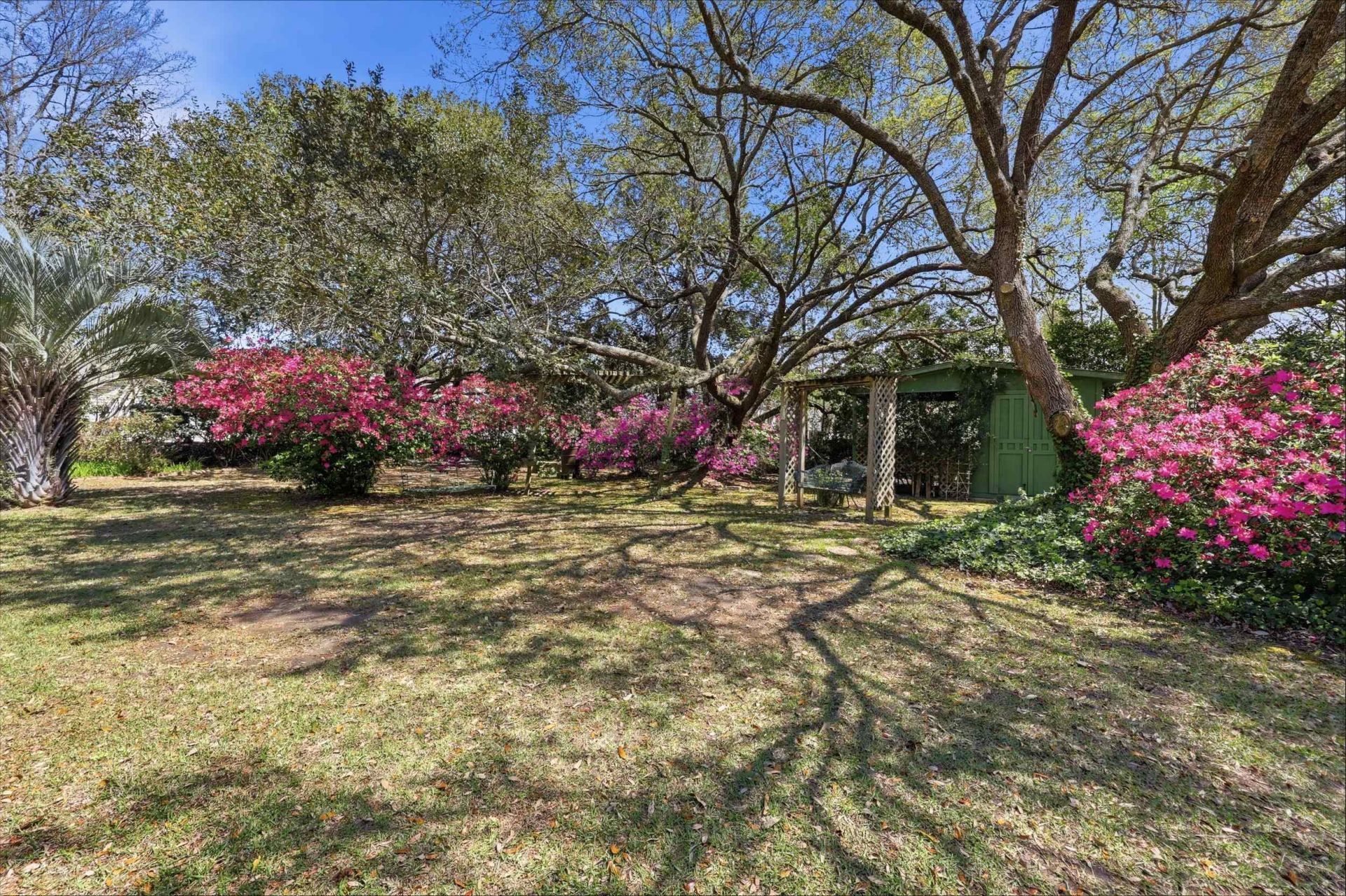 11091 Highway 707 Photo 24