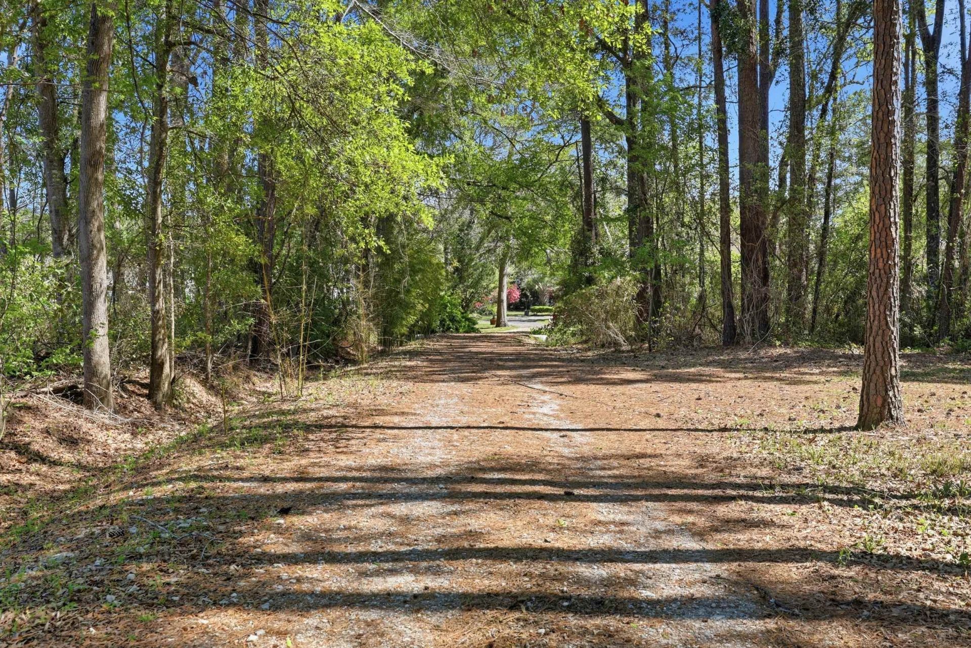 11091 Highway 707 Photo 28