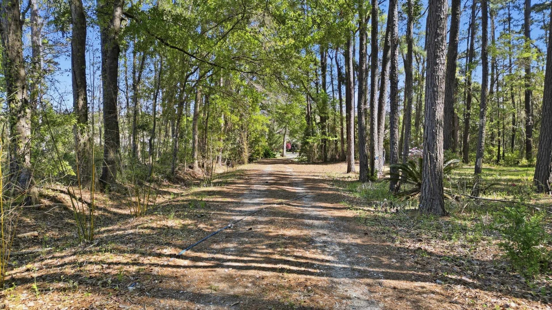 11091 Highway 707 Photo 29