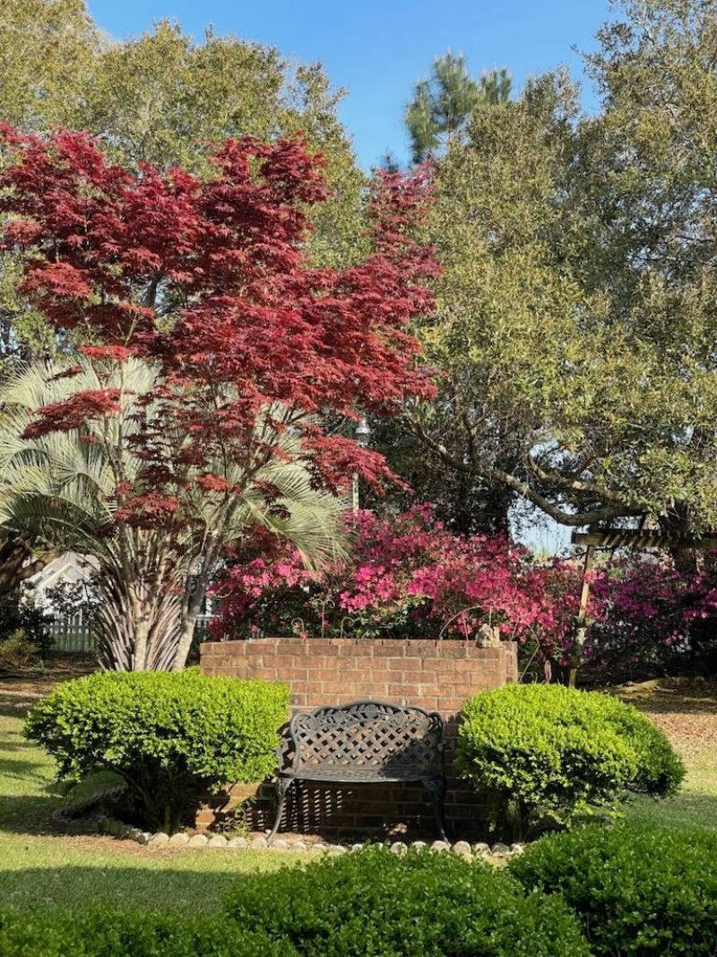 11091 Highway 707 Photo 32