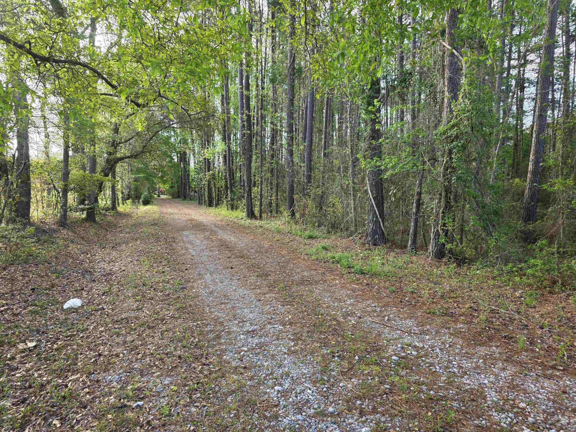 11091 Highway 707 Photo 33