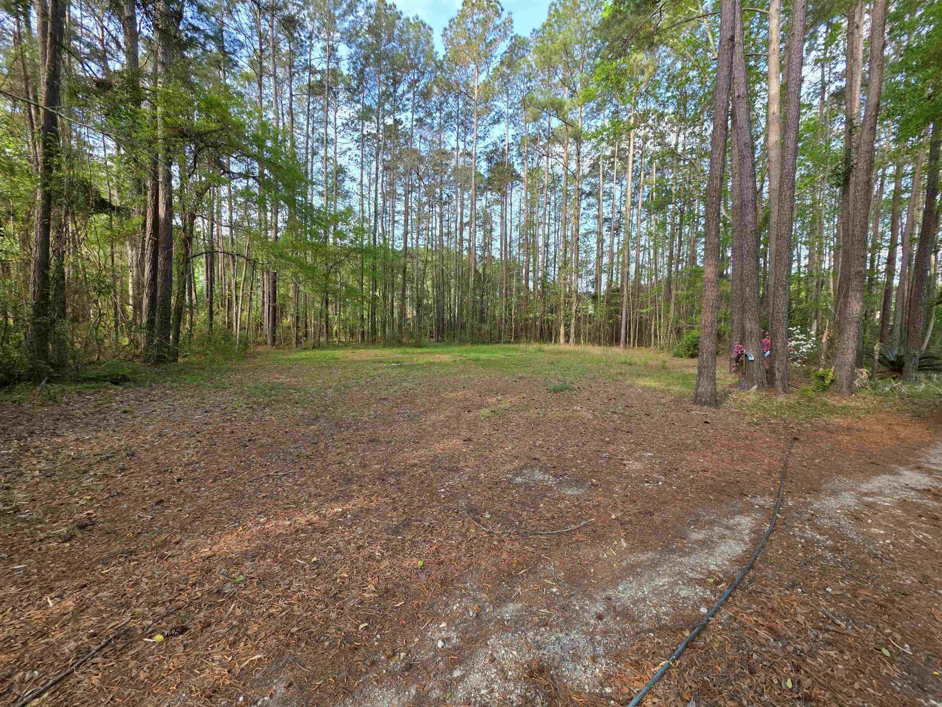 11091 Highway 707 Photo 34