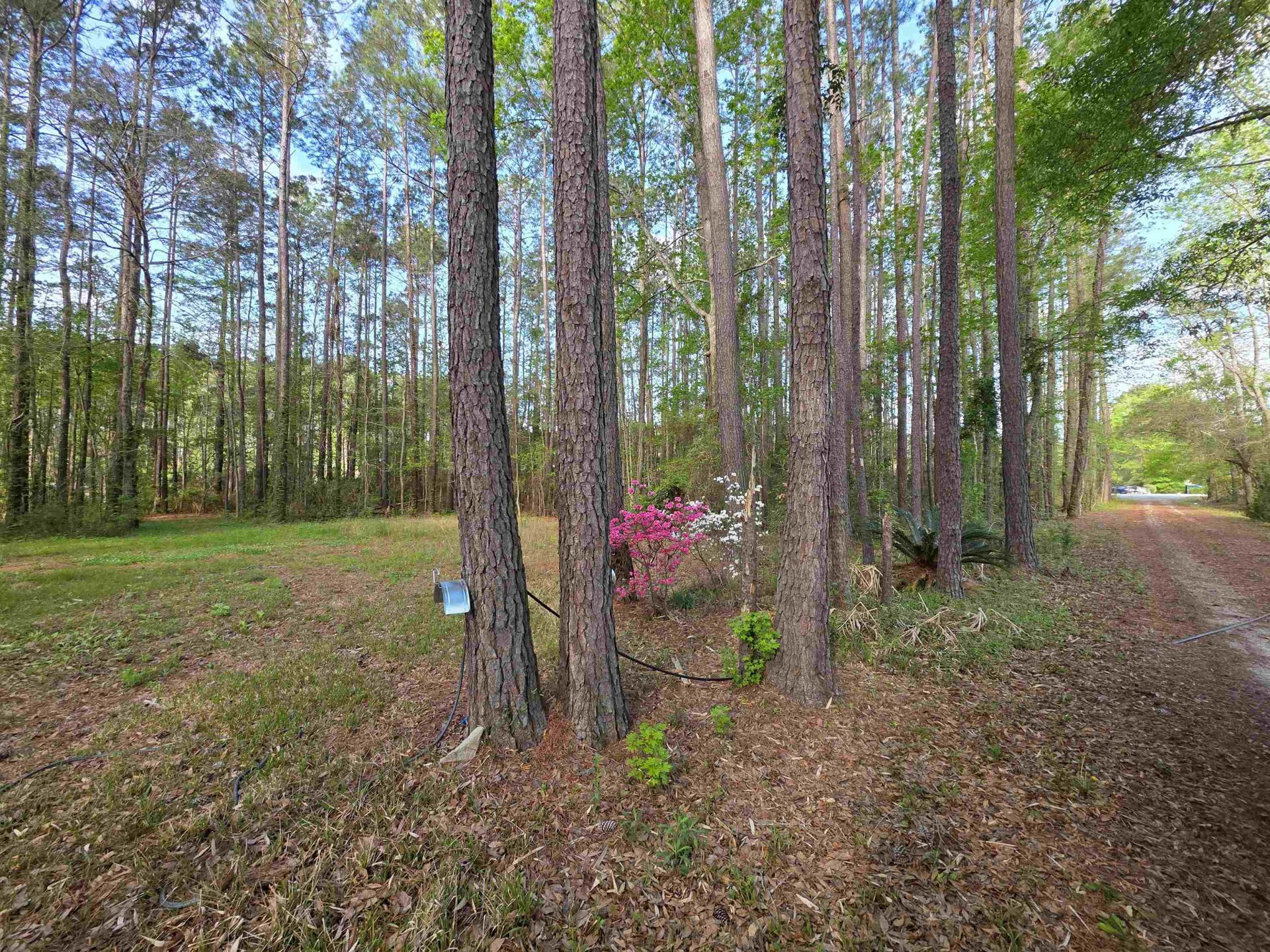 11091 Highway 707 Photo 35