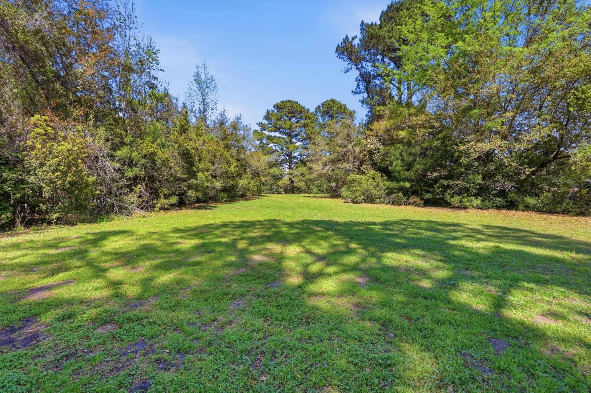 11091 Highway 707 Photo 5