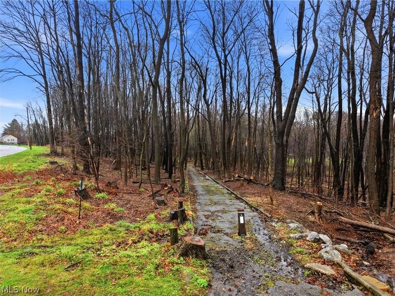 1734 Tonawanda Avenue, Akron, OH 44305 Photo 32