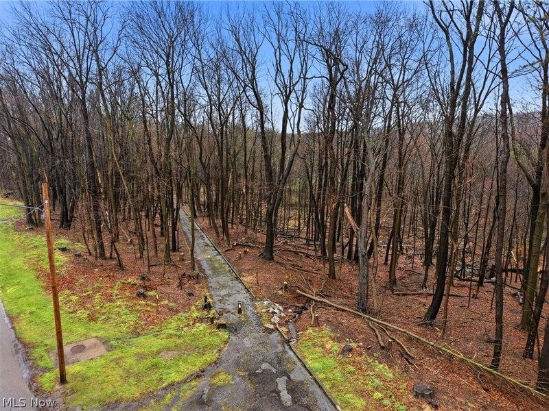 1734 Tonawanda Avenue, Akron, OH 44305 Photo 41