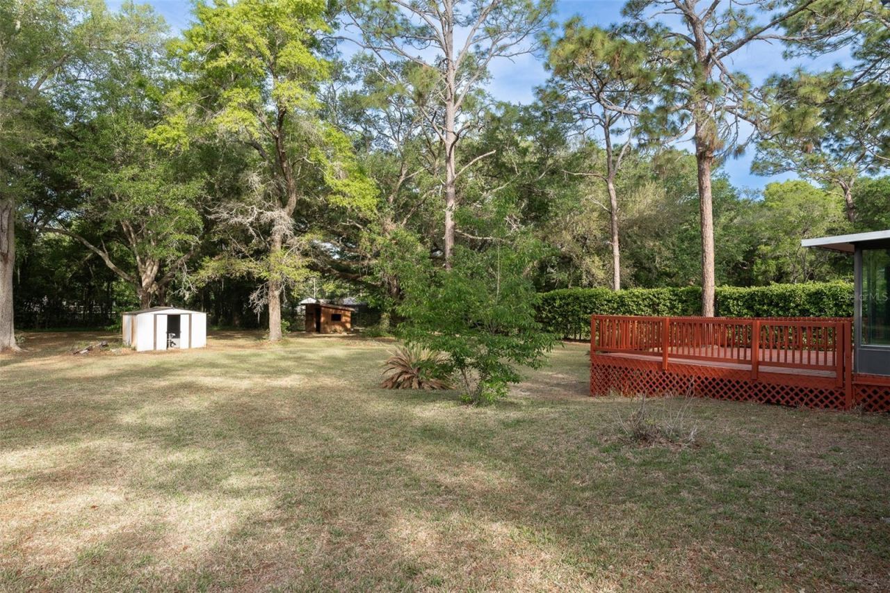 2590 NE 167th Avenue, Williston, FL 32696 Photo