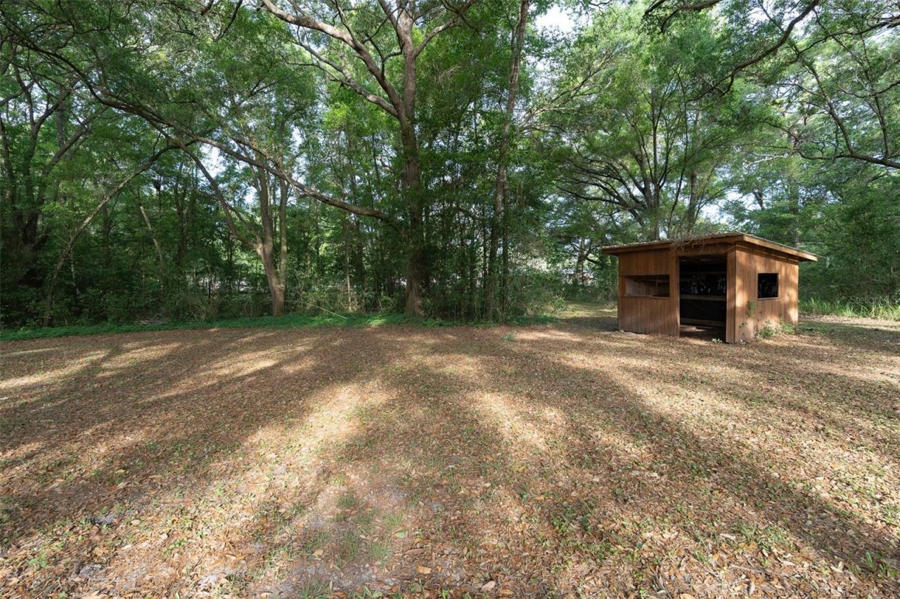 2590 NE 167th Avenue, Williston, FL 32696 Photo