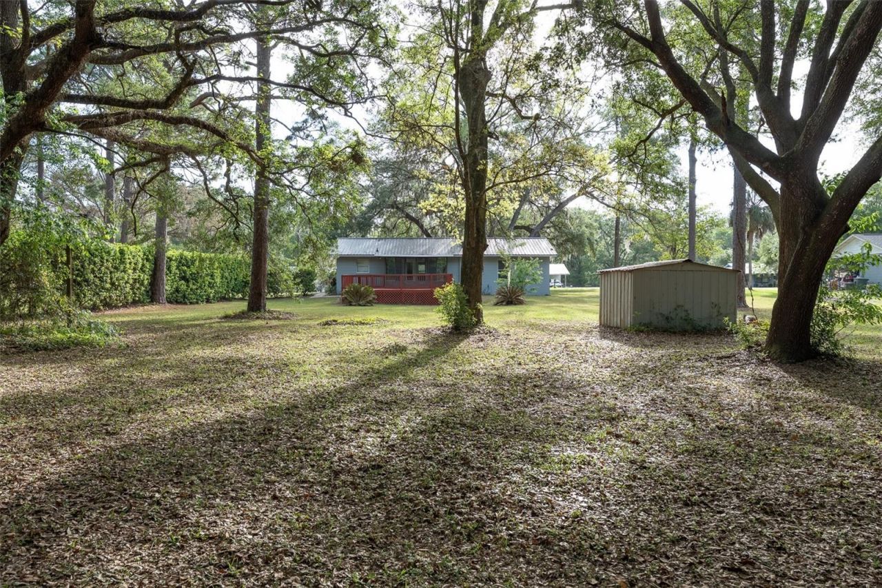 2590 NE 167th Avenue, Williston, FL 32696 Photo