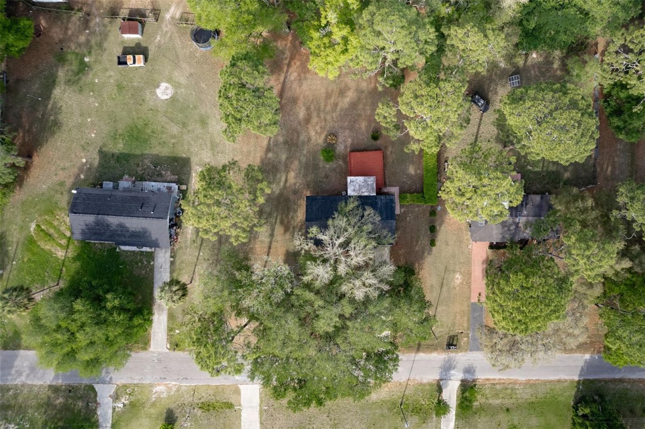 2590 NE 167th Avenue, Williston, FL 32696 Photo