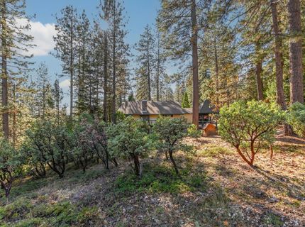 2637 Ruth Ln, Arnold, CA 95223 Photo