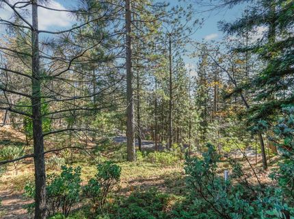 2637 Ruth Ln, Arnold, CA 95223 Photo