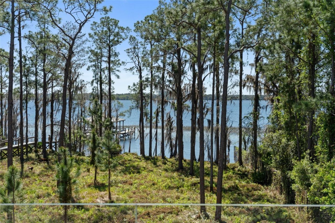 8506 Lake Nona Shore Dr, Orlando, FL 32827 Photo