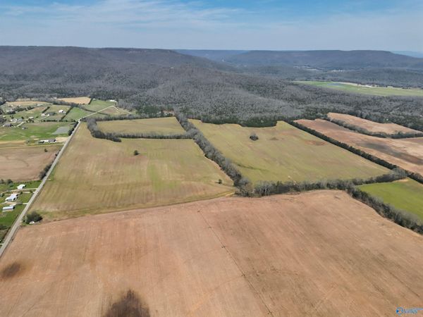 160 Acres County Road 530, Scottsboro, AL 35768