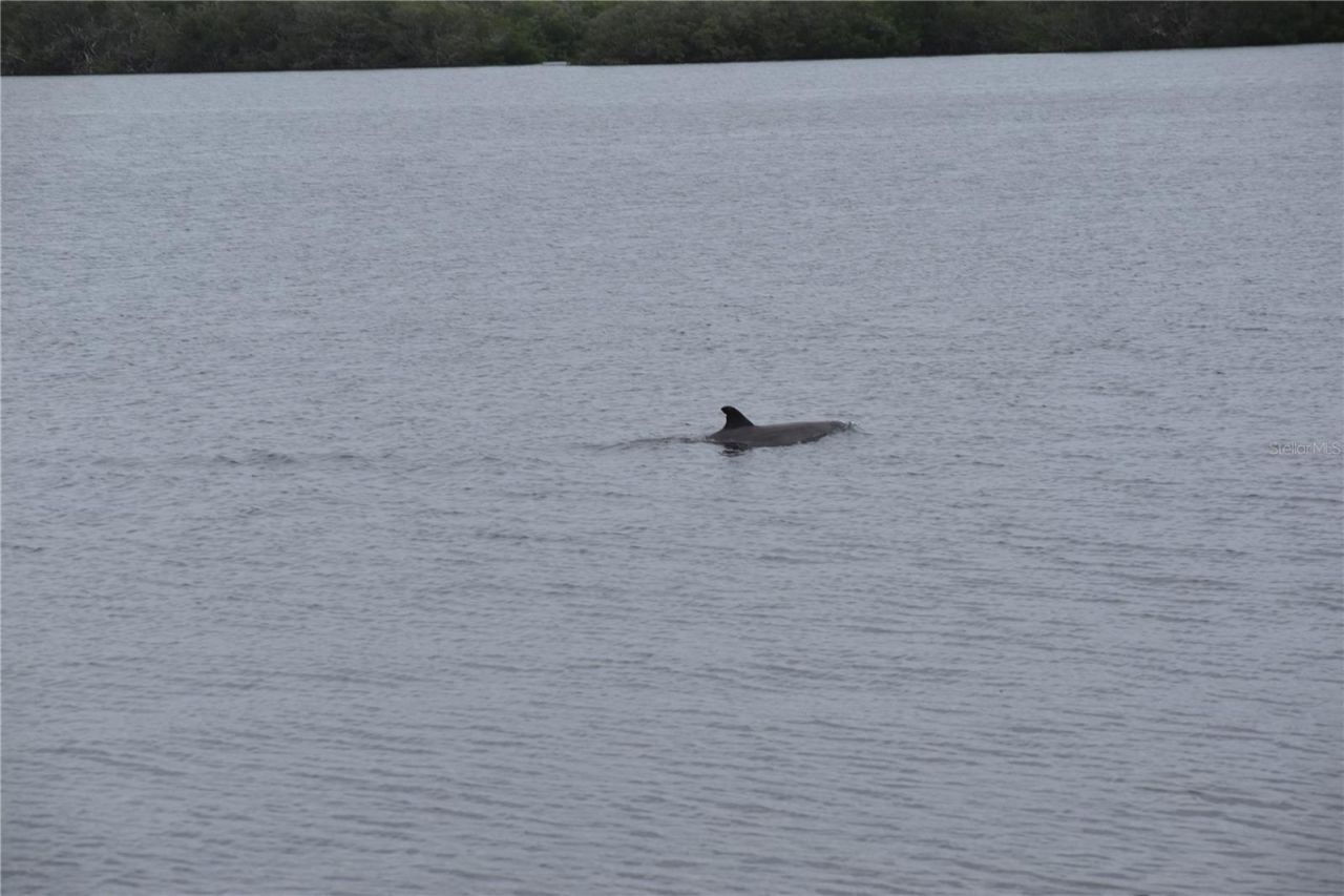 3863 Catalina Drive , Bradenton, FL 34210 Photo