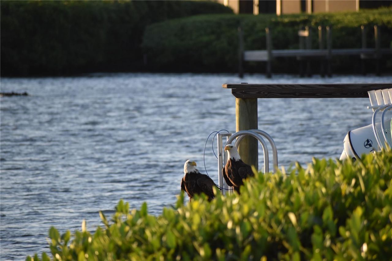 3863 Catalina Drive , Bradenton, FL 34210 Photo