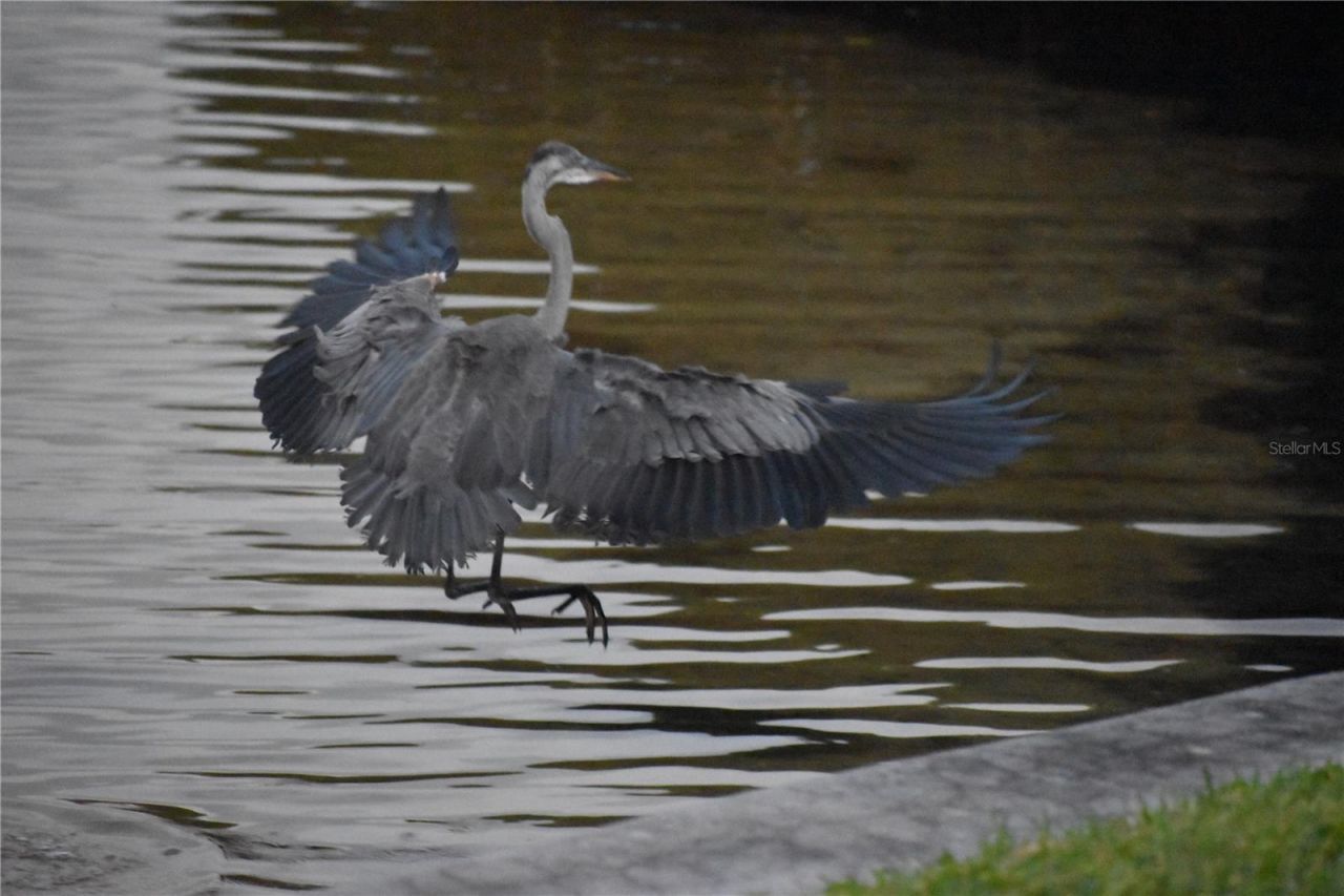 3863 Catalina Drive , Bradenton, FL 34210 Photo